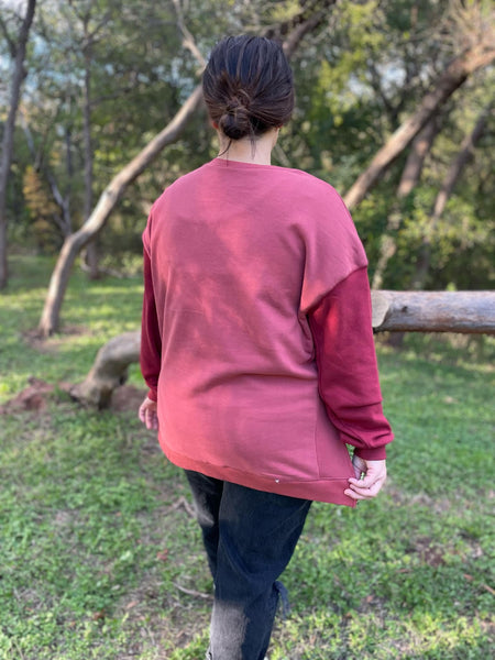 Scottie Two Tone Sweatshirt in Three Colors