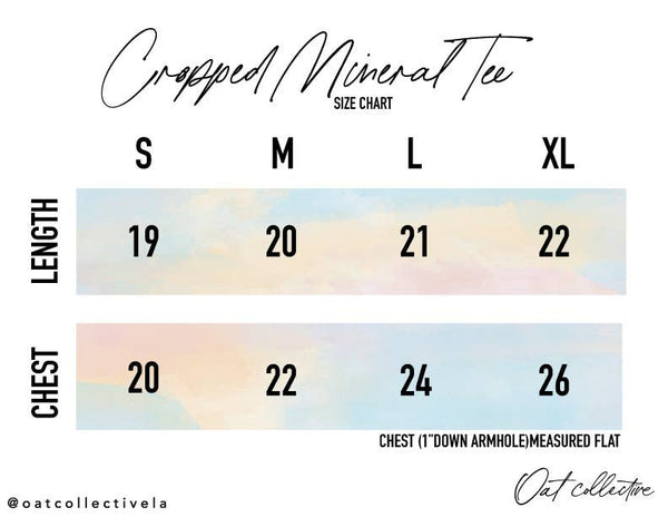 East Coast Cropped Mineral Graphic Top